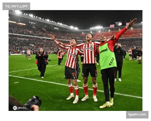 即时战果：布伦特福德2-2战平埃弗顿，双方各取一分